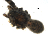  ( - CCDB-08489-F05)  @12 [ ] Copyright  G. Blagoev 2010 Unspecified