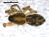  ( - CCDB-08500-D05)  @12 [ ] Copyright  G. Blagoev 2010 Unspecified