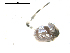  ( - CCDB-08501-A08)  @12 [ ] Copyright  G. Blagoev 2010 Unspecified