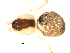  ( - CCDB-08501-B04)  @12 [ ] Copyright  G. Blagoev 2010 Unspecified