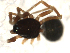  ( - CCDB-08501-G04)  @12 [ ] Copyright  G. Blagoev 2010 Unspecified
