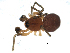  ( - CCDB-08501-H09)  @12 [ ] Copyright  G. Blagoev 2010 Unspecified