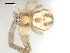  ( - CCDB-08502-C09)  @12 [ ] CreativeCommons - Attribution  Gergin Blagoev, Centre for Biodiversity Genomics Unspecified