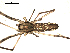  ( - CCDB-08502-E08)  @12 [ ] CreativeCommons - Attribution  Gergin Blagoev, Centre for Biodiversity Genomics Unspecified