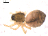  ( - CCDB-08513-C07)  @12 [ ] CreativeCommons - Attribution (2010) Gergin Blagoev, Centre for Biodiversity Genomics Centre for Biodiversity Genomics