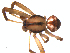  ( - CCDB-08513-F10)  @12 [ ] CreativeCommons - Attribution (2010) Gergin Blagoev, Centre for Biodiversity Genomics Centre for Biodiversity Genomics