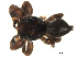  ( - CCDB-08514-D01)  @12 [ ] Copyright  G. Blagoev 2010 Unspecified