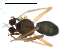 (Agyneta parva - CCDB-08515-F07)  @13 [ ] CreativeCommons - Attribution  Gergin Blagoev, Centre for Biodiversity Genomics Unspecified
