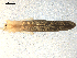  ( - CCDB-08516-E04)  @12 [ ] CreativeCommons - Attribution  Gergin Blagoev, Centre for Biodiversity Genomics Unspecified