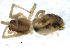  ( - CCDB-08516-H06)  @12 [ ] CreativeCommons - Attribution  Gergin Blagoev, Centre for Biodiversity Genomics Unspecified