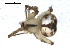  ( - CCDB-08519-G08)  @12 [ ] Copyright  G. Blagoev 2010 Unspecified
