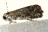  ( - 09BBLEP-00220)  @13 [ ] CreativeCommons - Attribution (2009) Unspecified Centre for Biodiversity Genomics