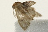  ( - 09BBLEP-00340)  @13 [ ] CreativeCommons - Attribution (2009) Unspecified Centre for Biodiversity Genomics