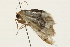  ( - 09BBLEP-00343)  @13 [ ] CreativeCommons - Attribution (2009) Unspecified Centre for Biodiversity Genomics