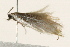  ( - 09BBLEP-00375)  @13 [ ] CreativeCommons - Attribution (2009) Unspecified Centre for Biodiversity Genomics