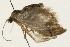  ( - 09BBLEP-00492)  @13 [ ] CreativeCommons - Attribution (2009) Unspecified Centre for Biodiversity Genomics