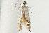  ( - 09BBLEP-00494)  @12 [ ] CreativeCommons - Attribution (2009) Unspecified Centre for Biodiversity Genomics