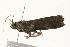  ( - 09BBLEP-00506)  @12 [ ] CreativeCommons - Attribution (2009) Unspecified Centre for Biodiversity Genomics
