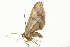  ( - 09BBLEP-00507)  @13 [ ] CreativeCommons - Attribution (2009) Unspecified Centre for Biodiversity Genomics
