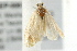  ( - 09BBLEP-00510)  @12 [ ] CreativeCommons - Attribution (2009) Unspecified Centre for Biodiversity Genomics