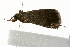  ( - 09BBLEP-00529)  @12 [ ] CreativeCommons - Attribution (2009) Unspecified Centre for Biodiversity Genomics