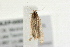  ( - 09BBLEP-00532)  @12 [ ] CreativeCommons - Attribution (2009) Unspecified Centre for Biodiversity Genomics