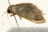  ( - 09BBLEP-00559)  @13 [ ] CreativeCommons - Attribution (2009) Unspecified Centre for Biodiversity Genomics