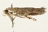  ( - 09BBLEP-00618)  @13 [ ] CreativeCommons - Attribution (2009) Unspecified Centre for Biodiversity Genomics