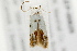  ( - 09BBLEP-00629)  @12 [ ] CreativeCommons - Attribution (2009) Unspecified Centre for Biodiversity Genomics