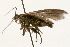  ( - 09BBLEP-00648)  @14 [ ] CreativeCommons - Attribution (2009) Unspecified Centre for Biodiversity Genomics