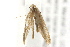  ( - 09BBLEP-00656)  @12 [ ] CreativeCommons - Attribution (2009) Unspecified Centre for Biodiversity Genomics