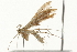  ( - 09BBLEP-00697)  @13 [ ] CreativeCommons - Attribution (2009) Unspecified Centre for Biodiversity Genomics