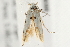  ( - 09BBLEP-00698)  @12 [ ] CreativeCommons - Attribution (2009) Unspecified Centre for Biodiversity Genomics