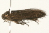  ( - 09BBLEP-00751)  @12 [ ] CreativeCommons - Attribution (2009) Unspecified Centre for Biodiversity Genomics