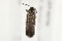  ( - 09BBLEP-00755)  @12 [ ] CreativeCommons - Attribution (2009) Unspecified Centre for Biodiversity Genomics