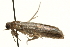  ( - 09BBLEP-00770)  @12 [ ] CreativeCommons - Attribution (2009) Unspecified Centre for Biodiversity Genomics