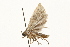  ( - 09BBLEP-00771)  @12 [ ] CreativeCommons - Attribution (2009) Unspecified Centre for Biodiversity Genomics