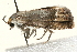  ( - 09BBLEP-00840)  @13 [ ] CreativeCommons - Attribution (2009) Unspecified Centre for Biodiversity Genomics