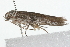  ( - 09BBLEP-00880)  @12 [ ] CreativeCommons - Attribution (2009) Unspecified Centre for Biodiversity Genomics