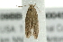  ( - 09BBLEP-00045)  @12 [ ] CreativeCommons - Attribution (2009) Unspecified Centre for Biodiversity Genomics