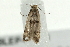  ( - 09BBLEP-00063)  @12 [ ] CreativeCommons - Attribution (2009) Unspecified Centre for Biodiversity Genomics