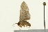  ( - 09BBLEP-00074)  @13 [ ] CreativeCommons - Attribution (2009) Unspecified Centre for Biodiversity Genomics