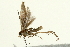  ( - 09BBLEP-00078)  @13 [ ] CreativeCommons - Attribution (2009) Unspecified Centre for Biodiversity Genomics