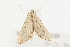  ( - 09BBLEP-00125)  @14 [ ] CreativeCommons - Attribution (2009) Unspecified Centre for Biodiversity Genomics