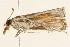  ( - 09BBLEP-00138)  @13 [ ] CreativeCommons - Attribution (2009) Unspecified Centre for Biodiversity Genomics