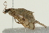  ( - 09BBLEP-00091)  @12 [ ] CreativeCommons - Attribution (2009) Unspecified Centre for Biodiversity Genomics