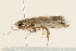  ( - 09BBLEP-00167)  @13 [ ] CreativeCommons - Attribution (2009) Unspecified Centre for Biodiversity Genomics
