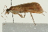  ( - 09BBLEP-00095)  @12 [ ] CreativeCommons - Attribution (2009) Unspecified Centre for Biodiversity Genomics