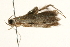  ( - 09BBLEP-00187)  @13 [ ] CreativeCommons - Attribution (2009) Unspecified Centre for Biodiversity Genomics