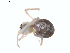  ( - BIOUG00888-D04)  @12 [ ] Copyright  G. Blagoev 2011 Unspecified
